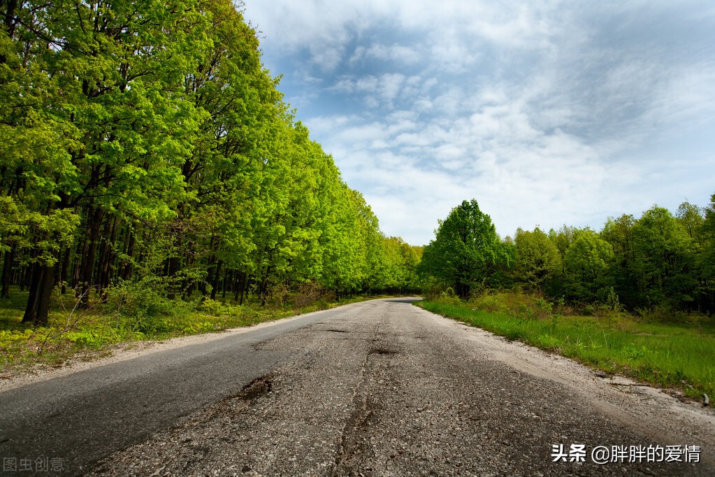 耐得住寂寞才守得住繁华经典句子,来是偶然去是必然且行且珍惜