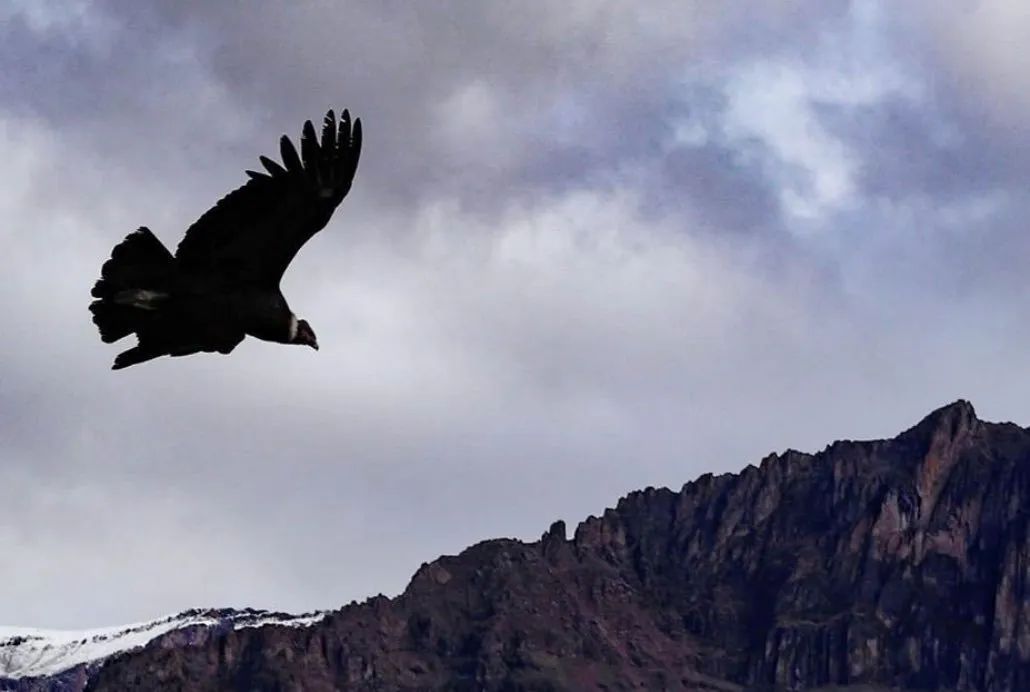 地球最美伤疤,地球最美伤痕在哪里
