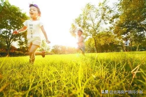 北海新学校建在哪里,北海学校最新规划图