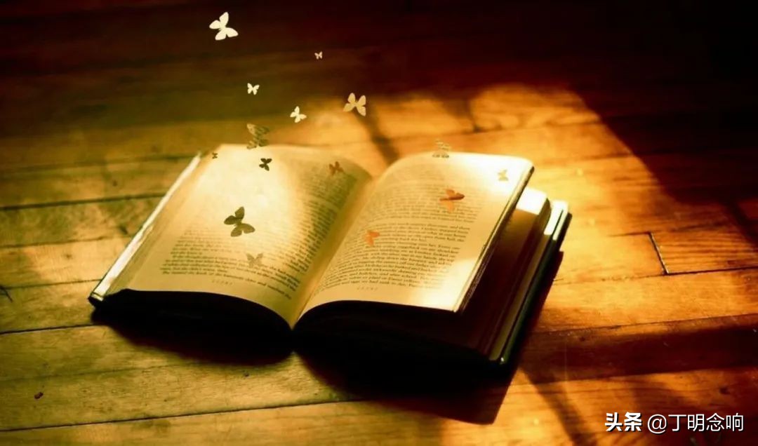 如何破解什么都想学,却什么都学不会的焦虑,这本书会给你答案