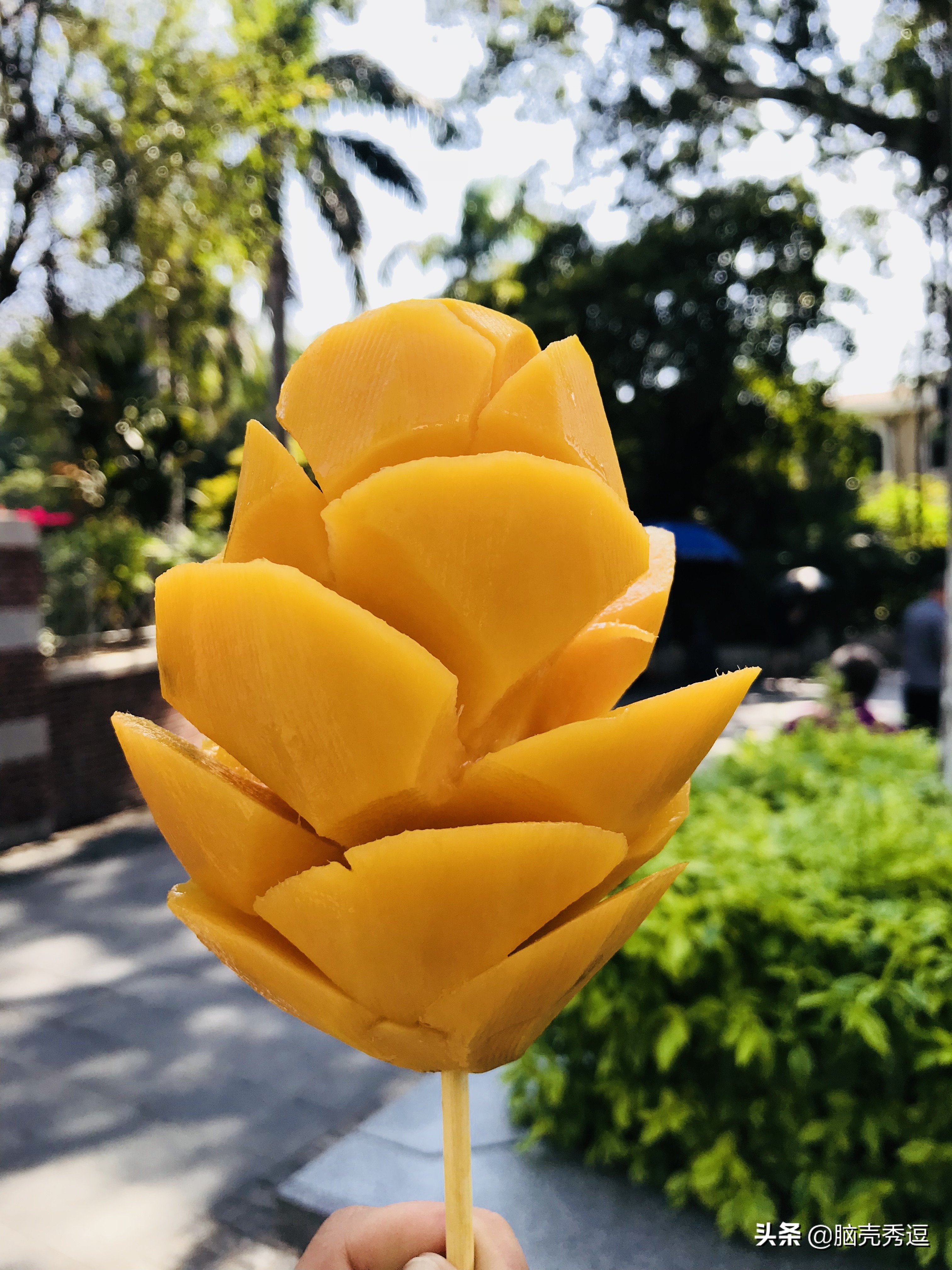 厦门四天自由行攻略最详细,厦门自由行攻略5天详细