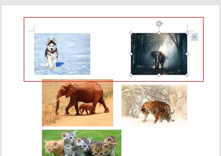 word表格调整图片大小按f4无效,wordf4重复上一步在哪里设置
