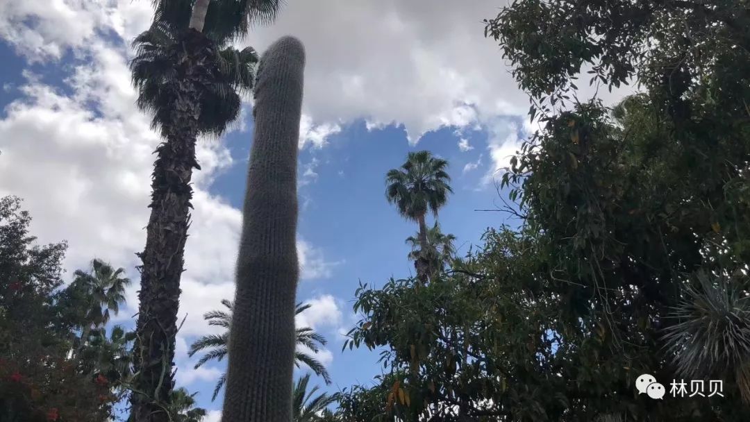 15天快速减肥10斤懒人,摩洛哥12天瘦5斤减肥成功案例