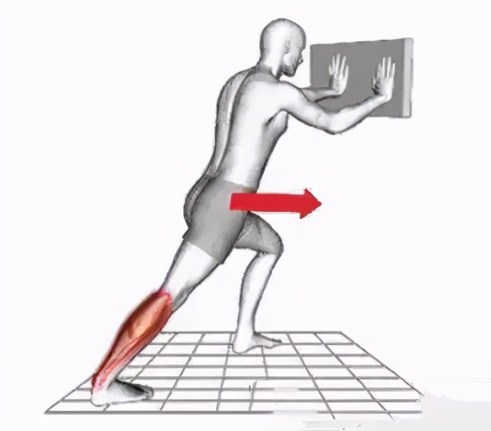 深蹲标准动作能练到小腿吗,深蹲是锻炼下肢最好的动作