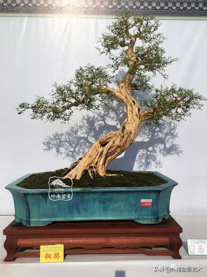 骞哥涔呬箙鐢滅敎铚滆湝,骞哥涔呬箙