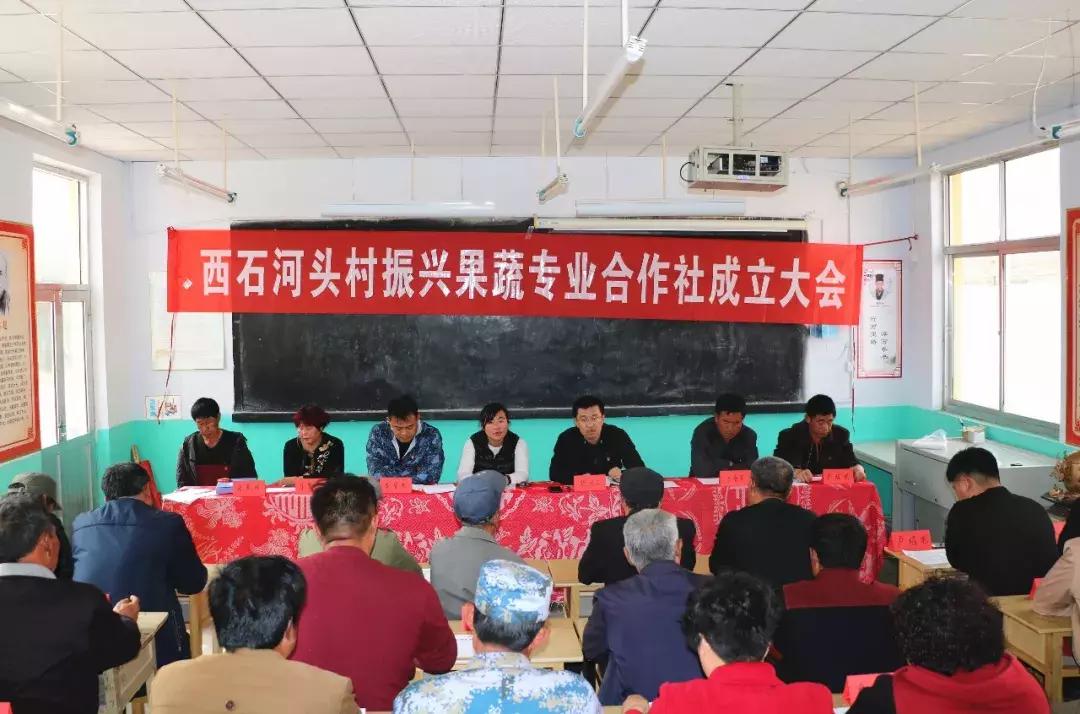 鑱旀潙鑱斿垱涔℃潙鎸叴,鑾遍槼鍐滄潙鍚堟潙骞堕晣瑙勫垝