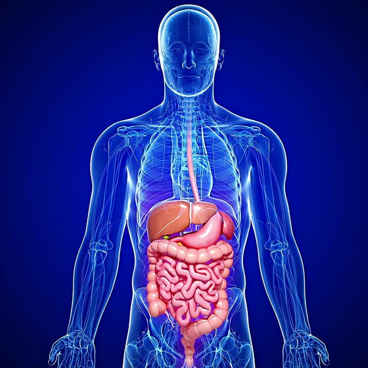 肠的秘密解读大全,肠瘘你了解多少