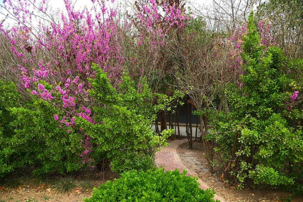 新学期有哪些新变化,许昌职业技术学院新学期工作