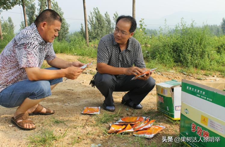 桃树主干形修剪技术有哪些,主干形桃树的夏季修剪方法完整版