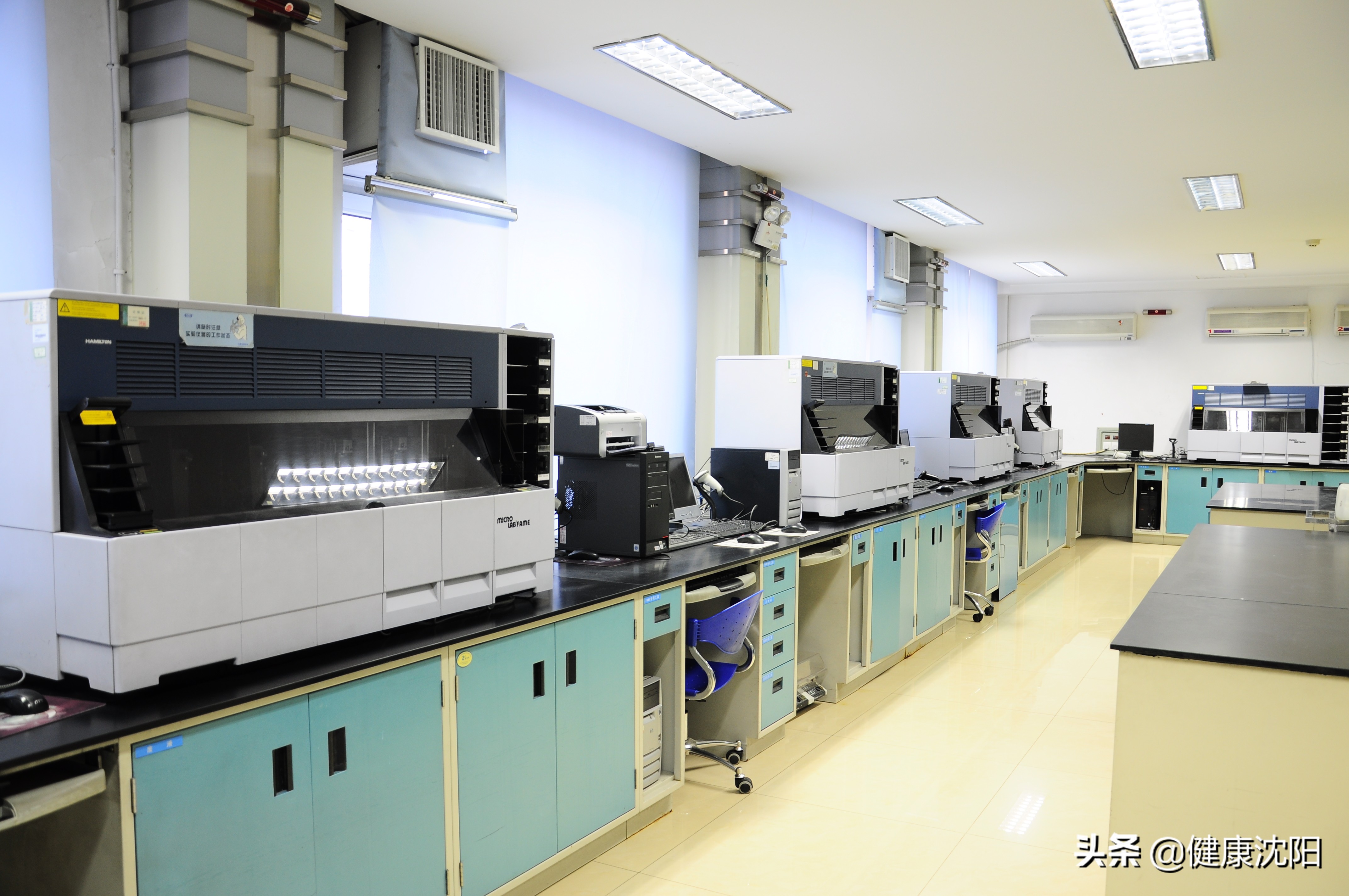 世界献血者日统计,安全血液拯救生命世界献血者日