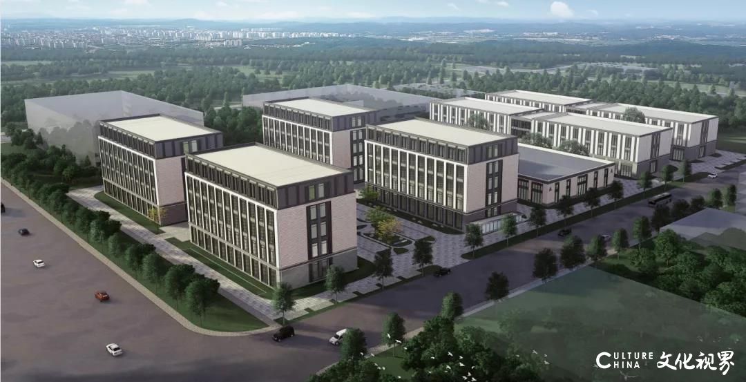 历经自救、突破和奔跑，回顾山大华天2020年的奋进之路