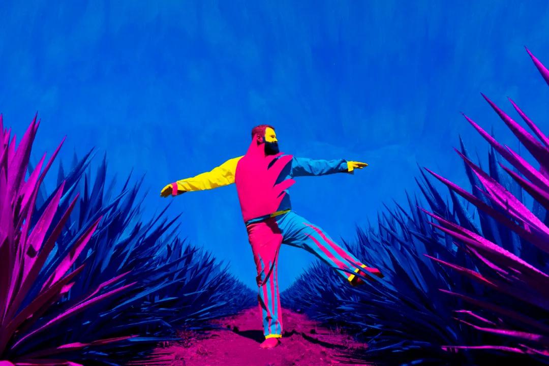 保乐力加抽奖,保乐力加涨价