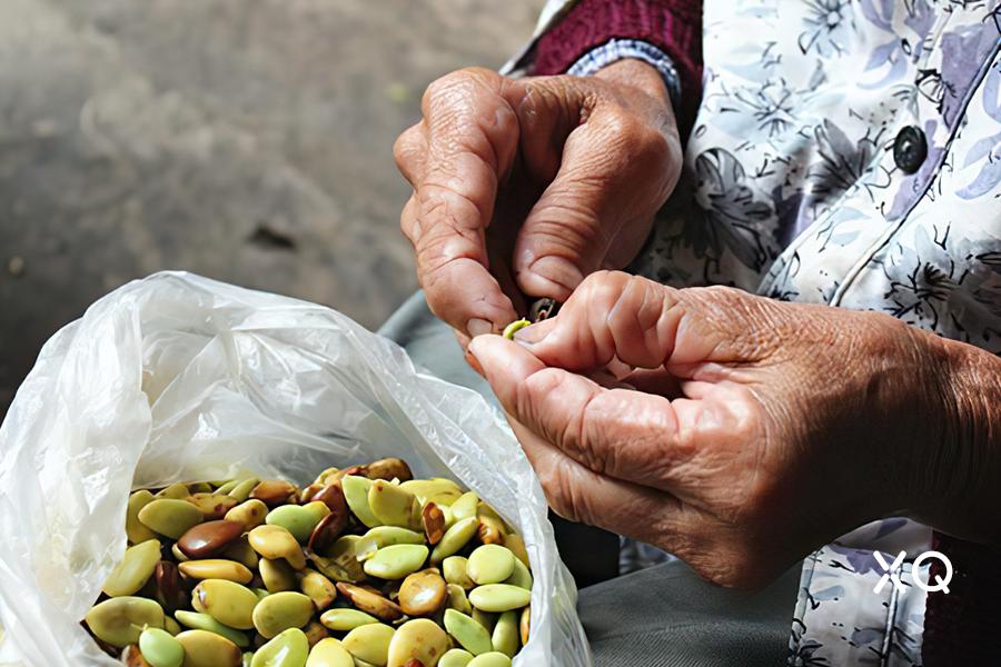 一棵树手工甜品,一棵树糖水