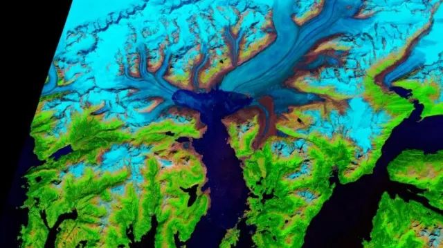 受疫情影响,近20%美国摄影师转行求谋生/普利策奖获奖名单公布