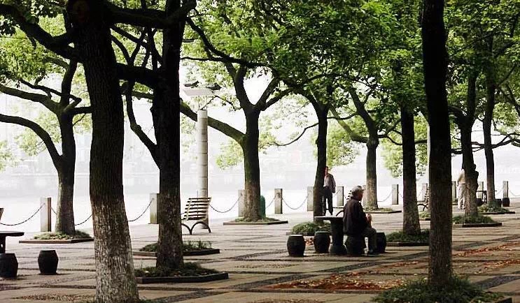 2021宁波免费旅游景点推荐,宁波市内玩的地方推荐一日游