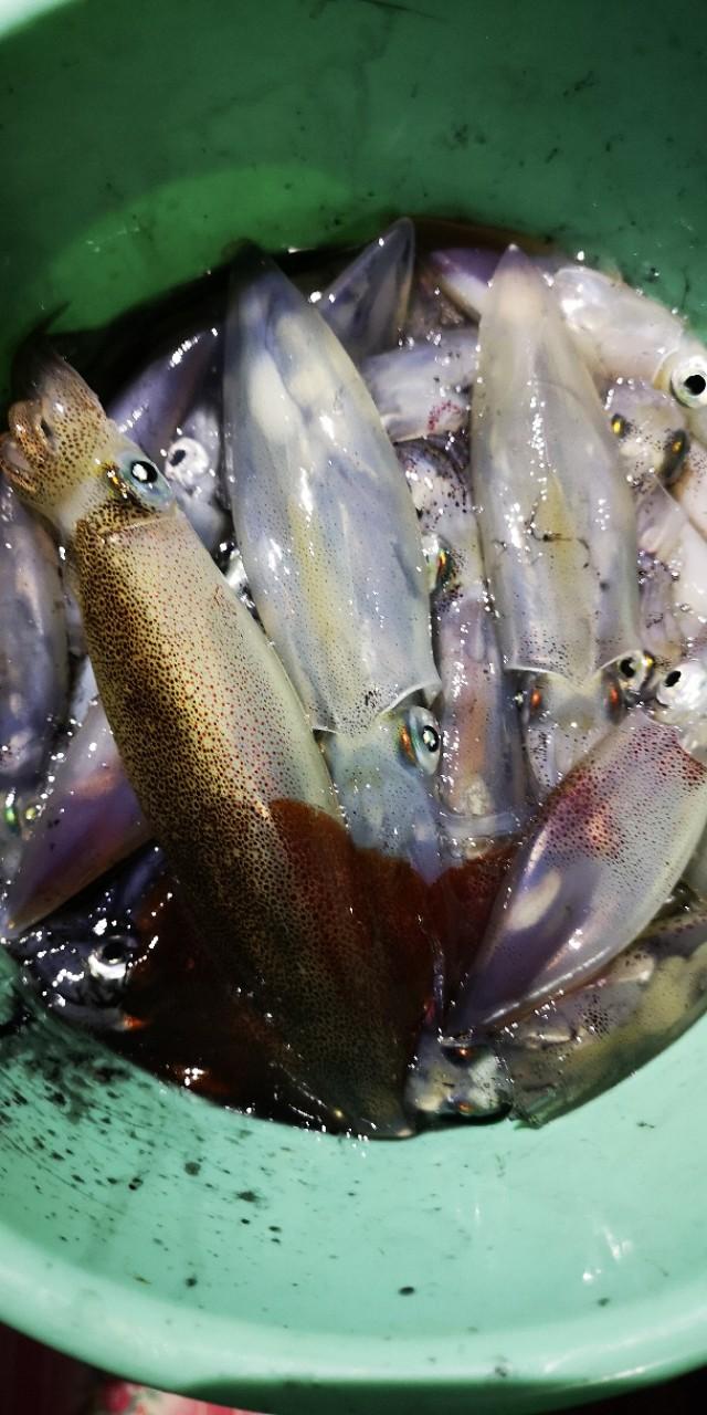 香港最后一片净土避世天堂,香港西贡一日游攻略图