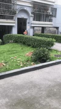 愚人节防套路指南搞笑,每日一笑那些笑疯的神操作