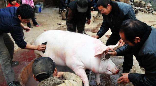 您对美容行业有哪些了解和认识,你对汉中有多少了解