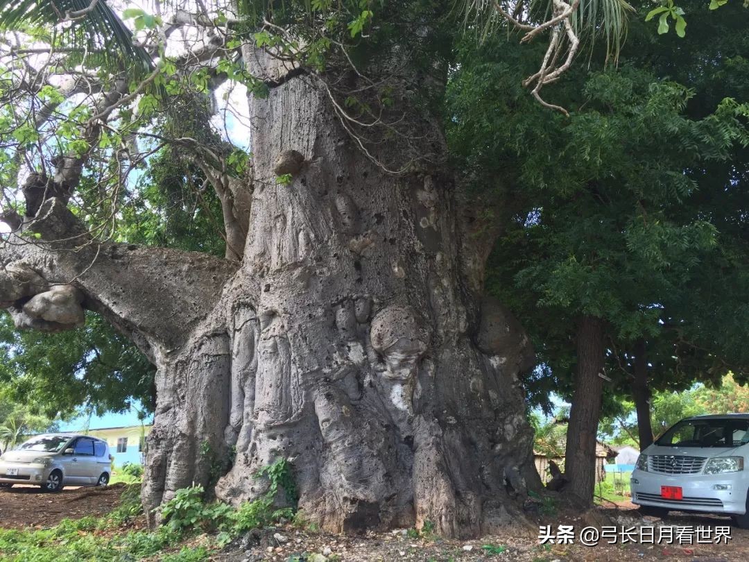 还没走完非洲,我就好羡慕那些旅行代购的