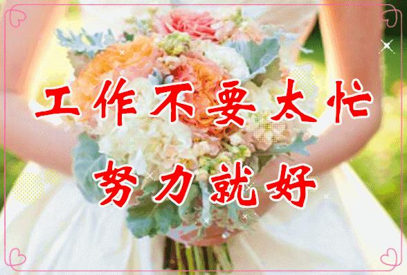 暖心问候语动态图,问候祝福语动态图片大全