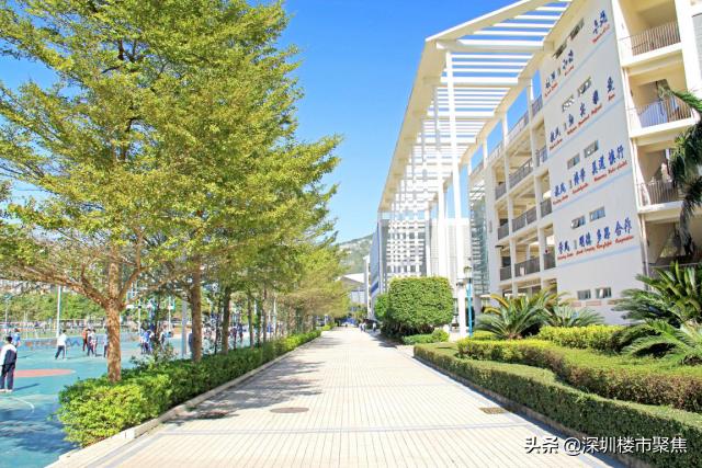 深圳盐田20年中考区状元,盐田区中考状元