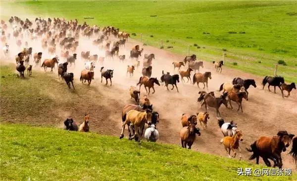 张掖三大公园,张掖最值得去的三个景区