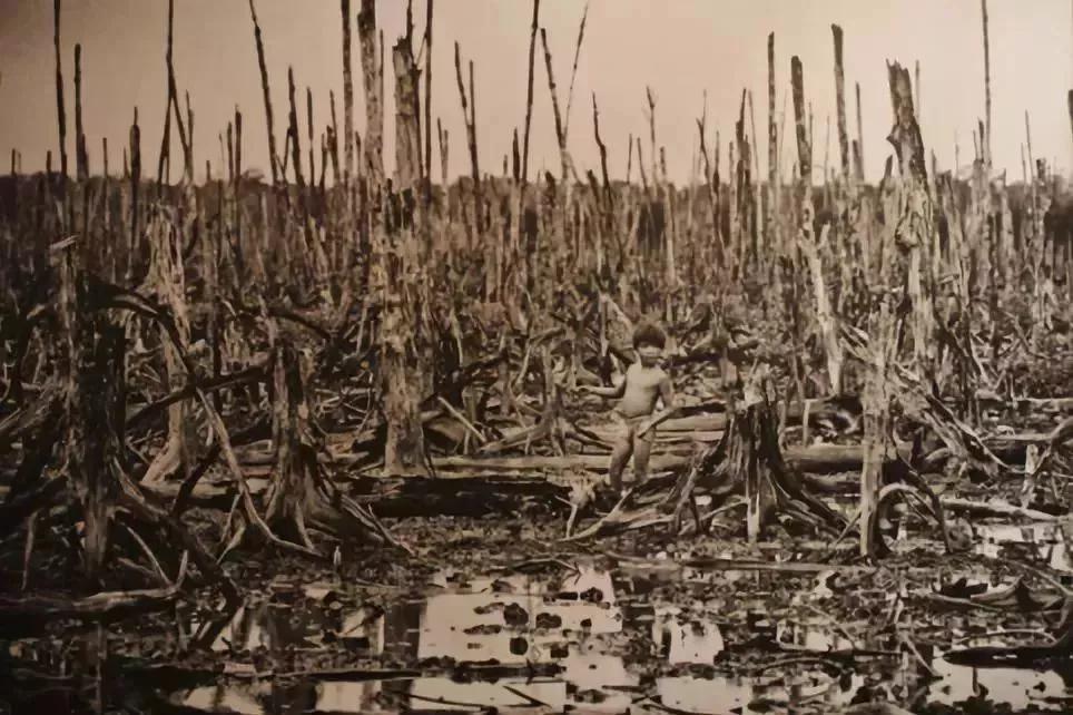 世界最邪恶公司,全球七大邪恶公司