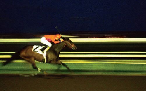 拍摄运动人物参数设置,怎么拍摄运动类视频