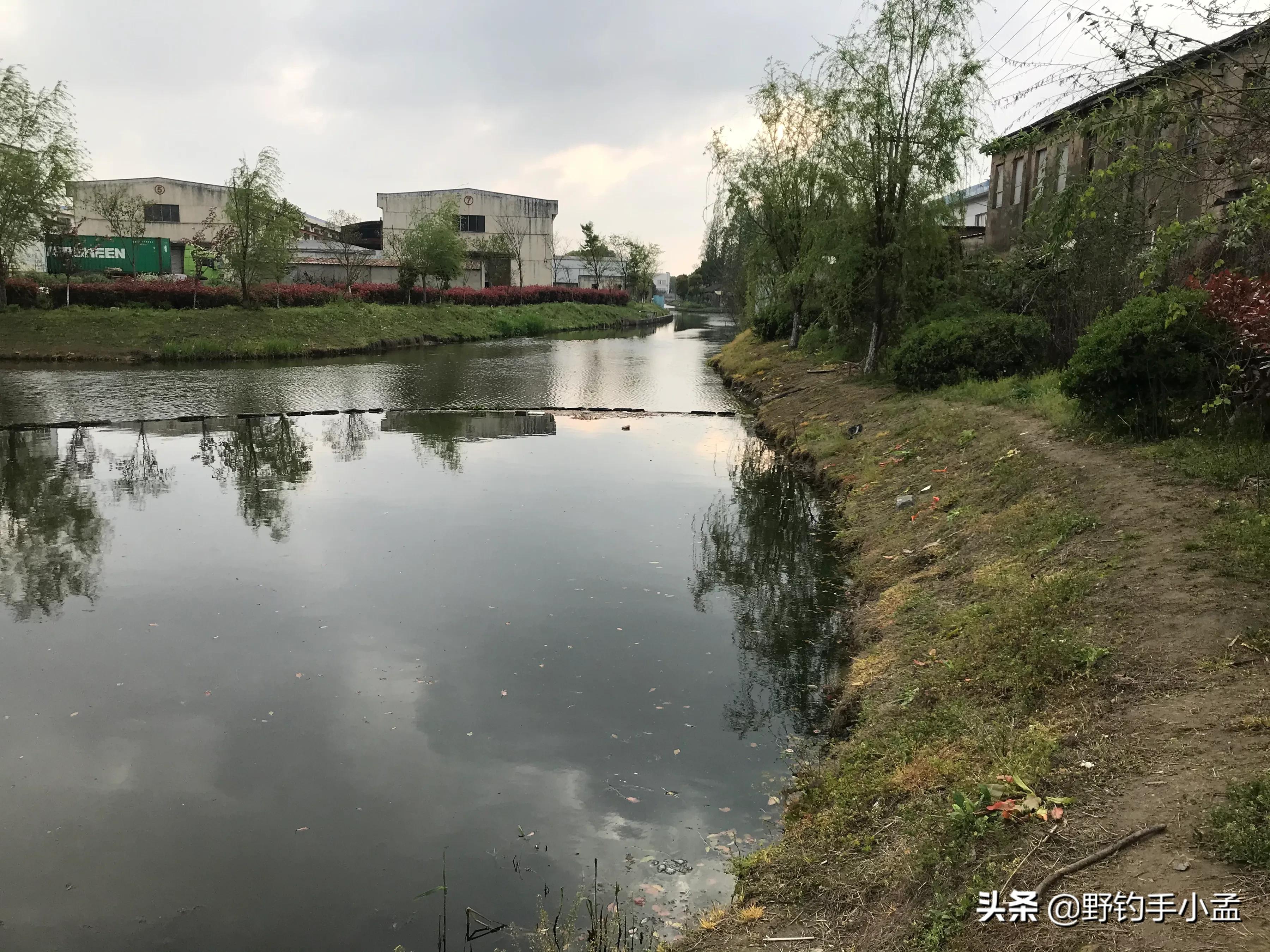 贼喊抓贼，是谁断送了野钓资源？有些钓鱼人要长点心吧