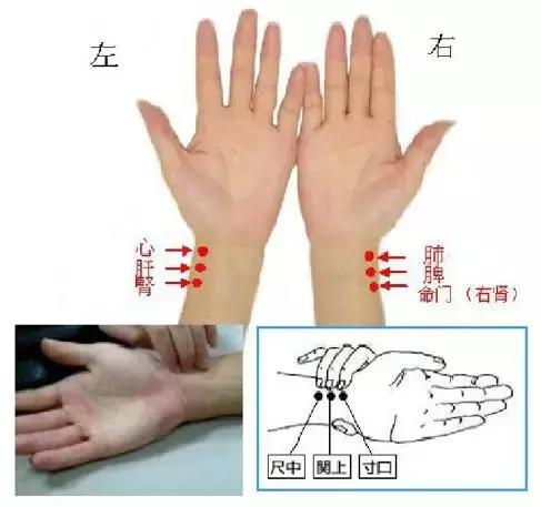中医脉诊入门与常见病辨治,脉诊的十种疾病辨证方式