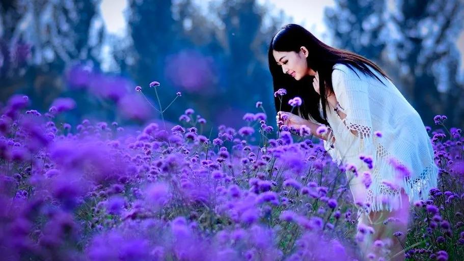 怎样拍好薰衣草照,如何拍紫色薰衣草