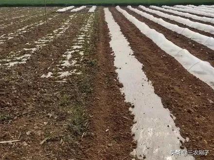 遇到拱地边的邻居咋办,农村拱地边怎么处理