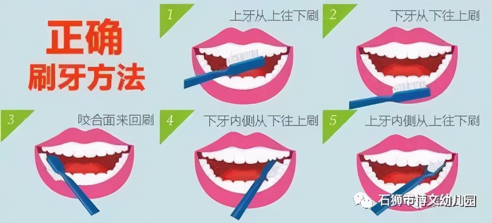 「学园动态」“小牙齿、大健康”—记石狮市博文幼儿园幼儿口腔保健活动