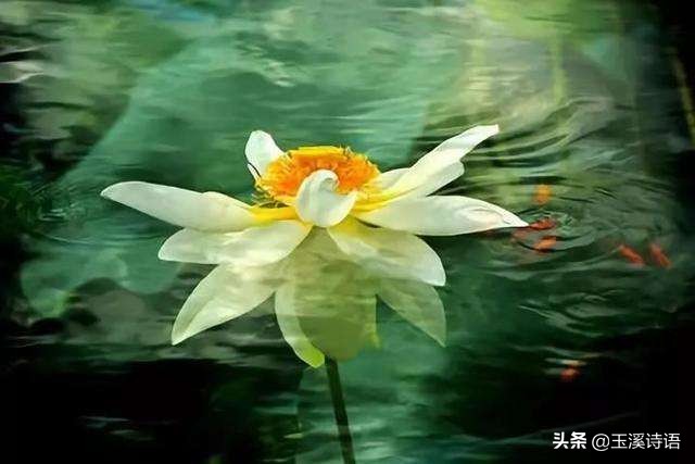 癌症博士于娟的感悟,此生未完成于娟为什么会得癌症