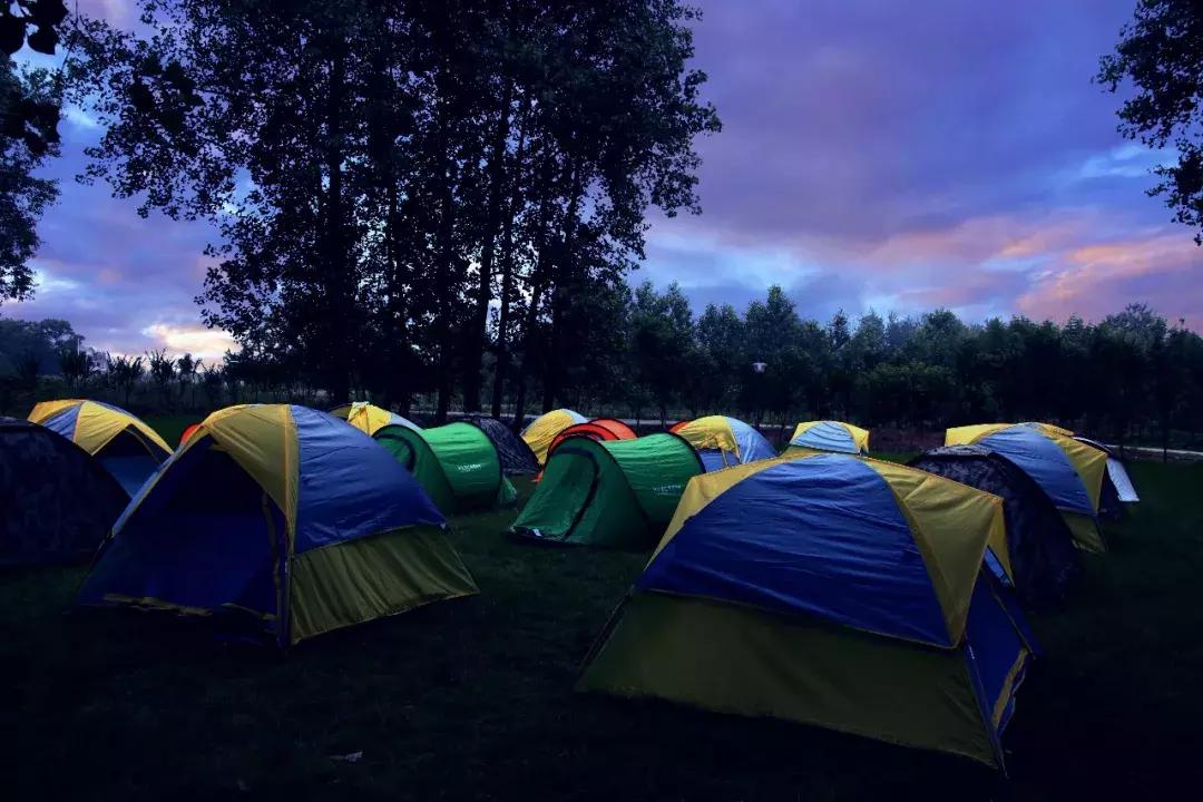 最美银杏秋景自驾攻略,杭州银杏树旅游攻略