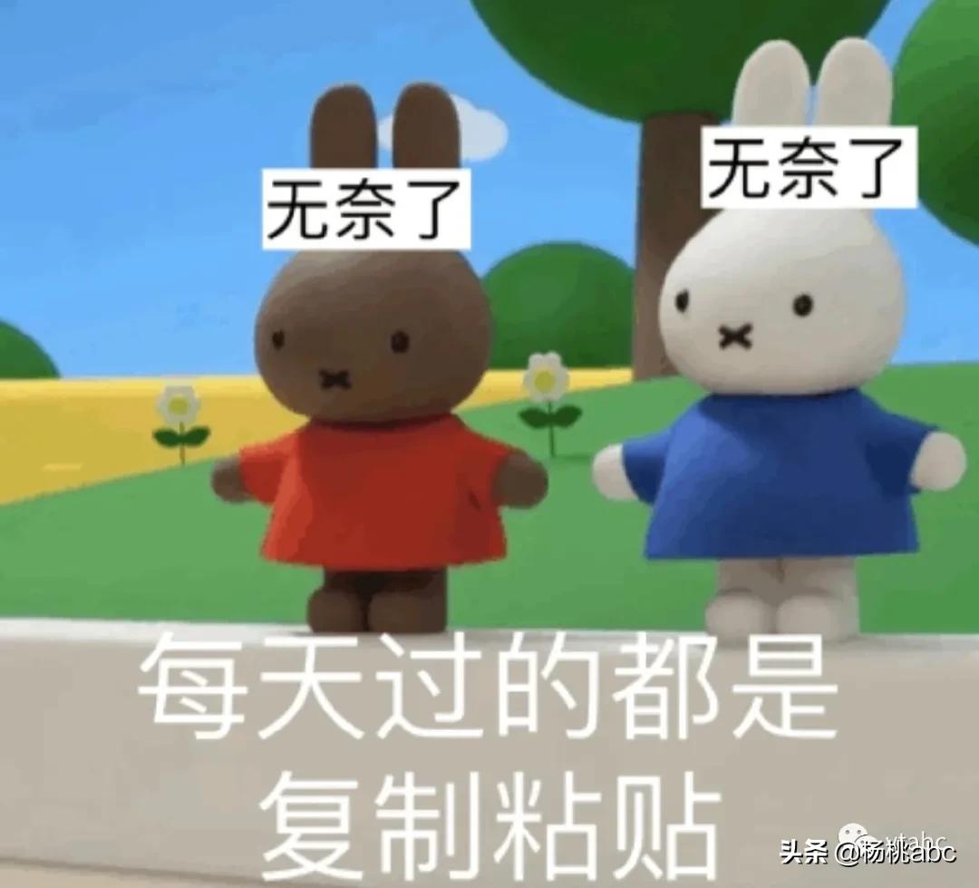 带你看新西兰风景,去看一次新西兰风景