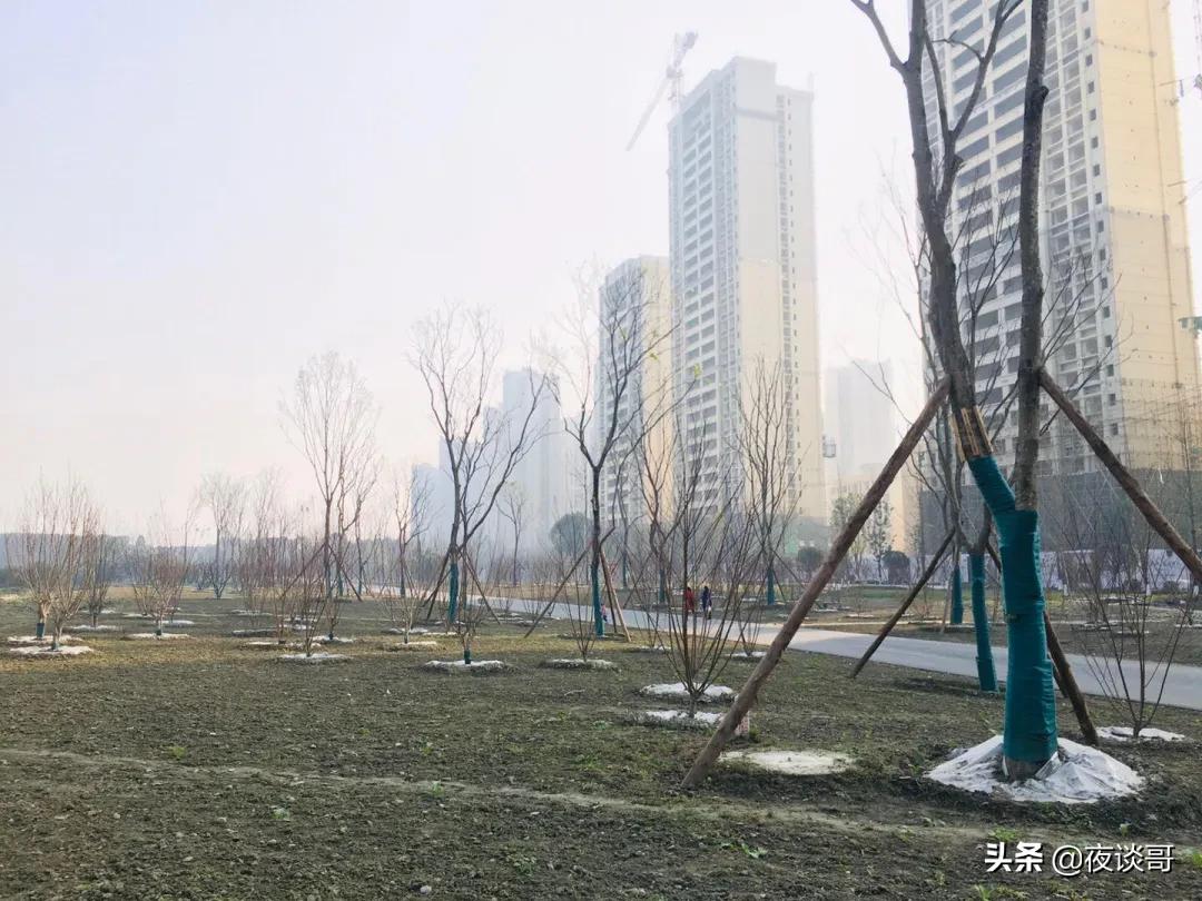 大丰发展潜力最大的片区,大丰区以后发展城东还是城西