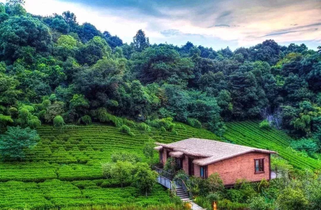 中国最美度假酒店top100最新,中国最值得体验的100家酒店