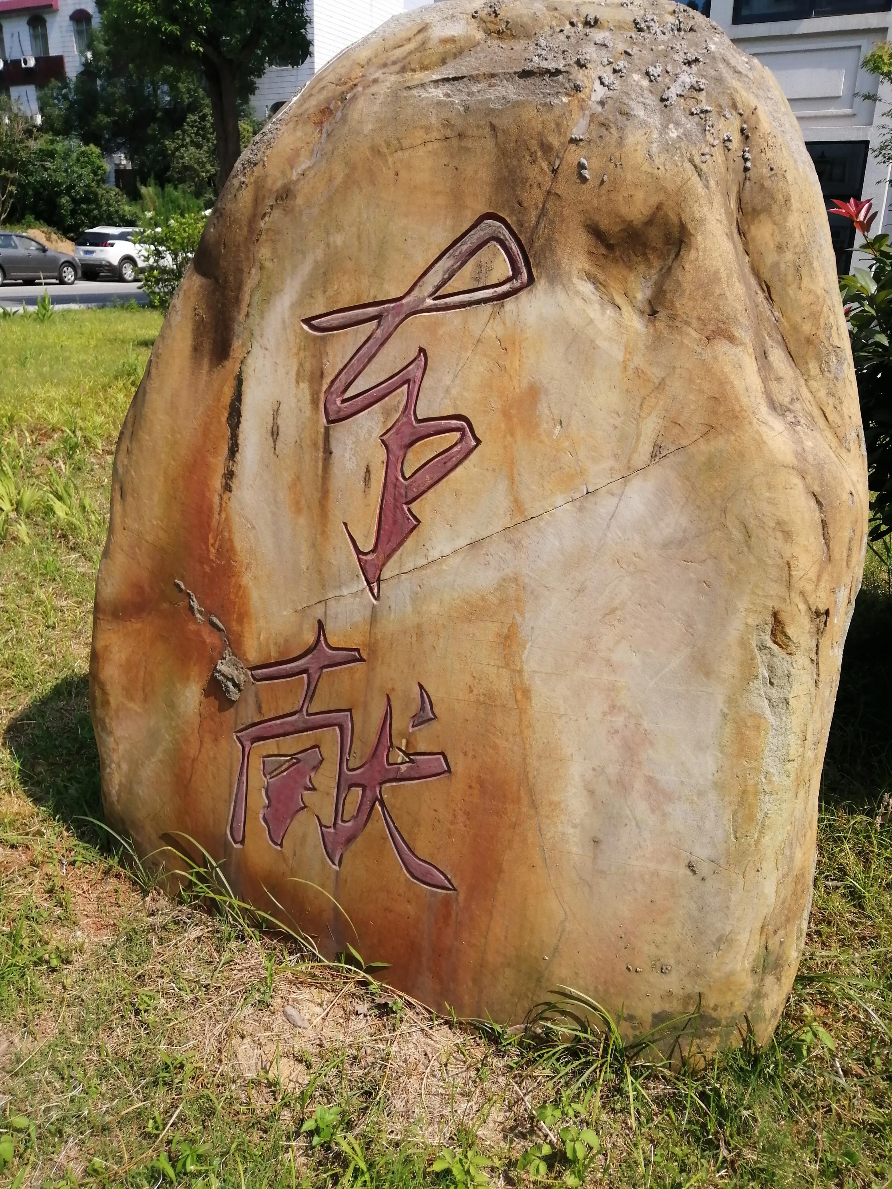 党校环境优美,市委党校崭新亮相