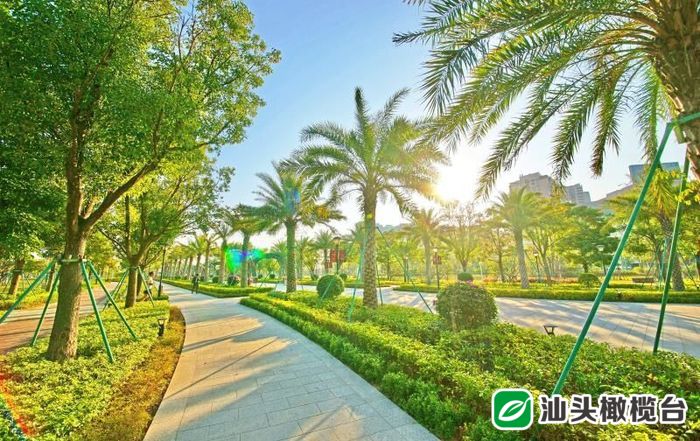 龙湖区:今年干好这七件事以优异成绩庆祝中国*产党共**成立100周年