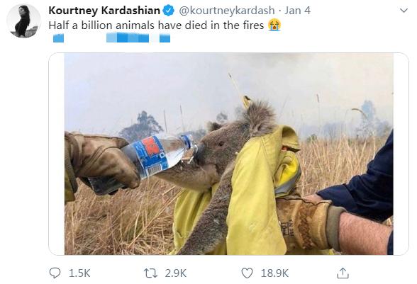 金小妹惊艳写真图片,金小妹炫富图片