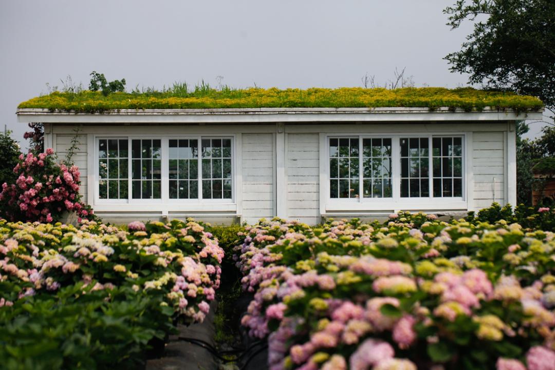 曾是电脑城销售，12年后坐拥60亩私家花园，137万网友跟她看春天