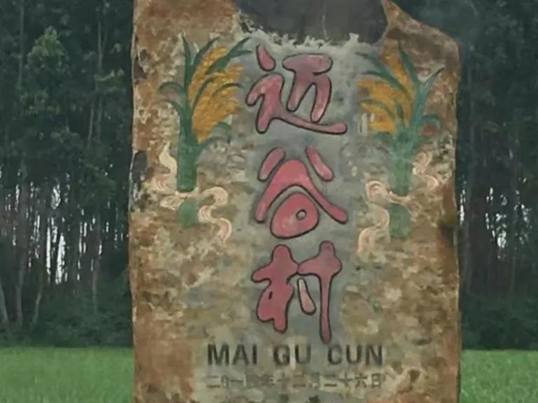 徐闻县历史最长久的村庄,湛江徐闻县历史