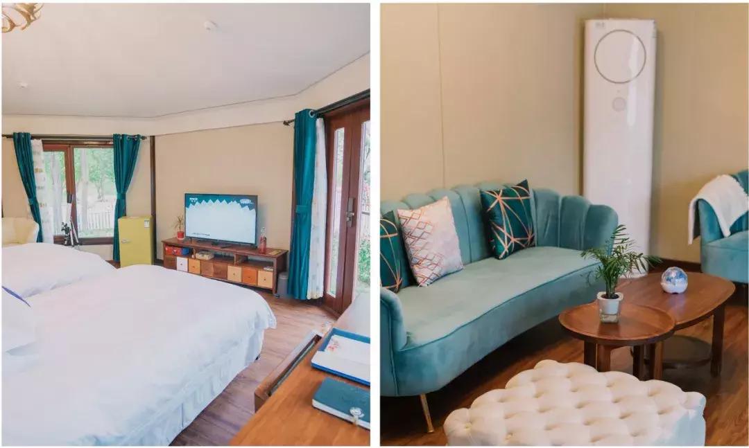 北京菊花花海,北京赏花好去处国际花港