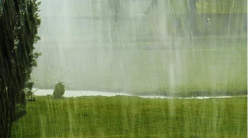 天空的另一半深度解读,天空的另一半女性视角分析