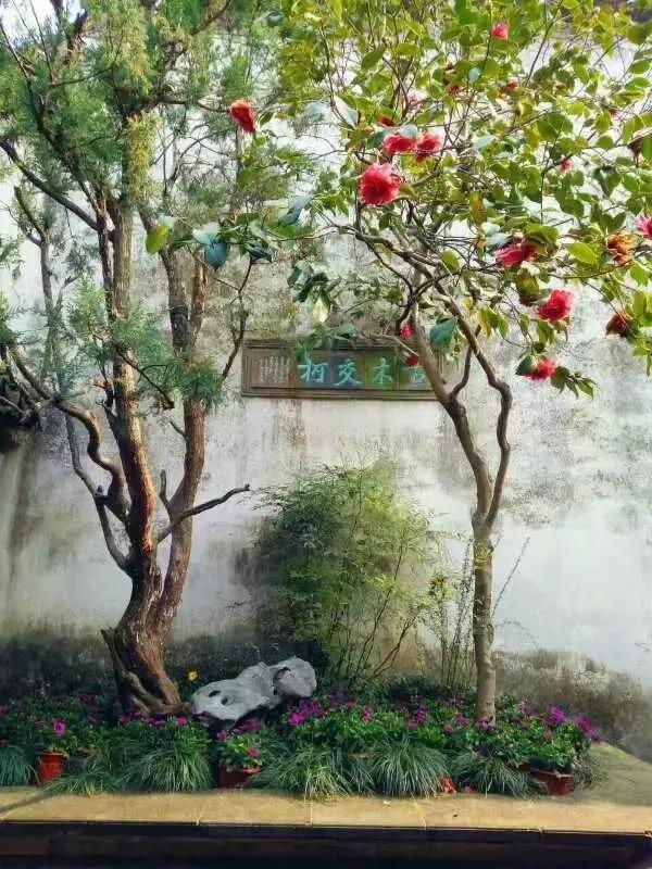 中国园林的诗情画意之美,虽由人作宛自天开的造园理念