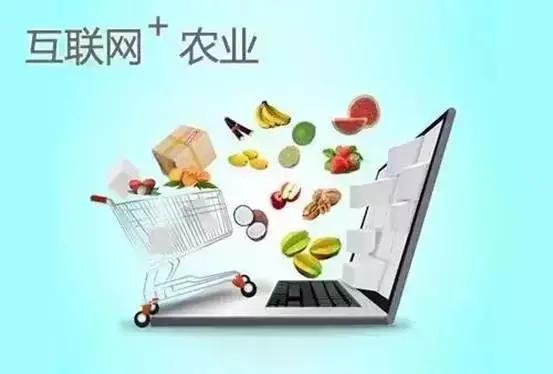 「聚力强富美高决胜全面小康」走品牌路线,搭网络快车,裴蕾村特色农产品香飘“墙内外”