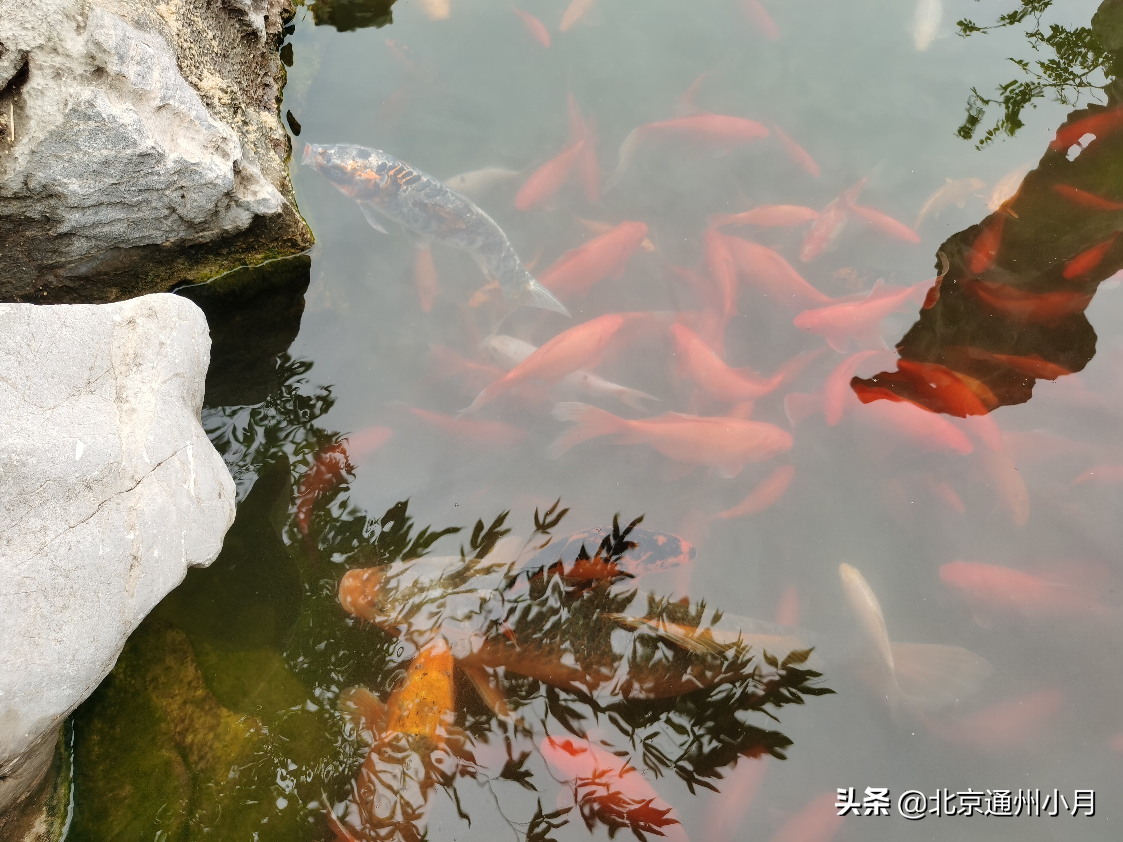 北京适合遛娃的公园,北京户外遛娃好去处冬天