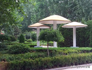 新乡市真“中”高中,每年几千人考上一本