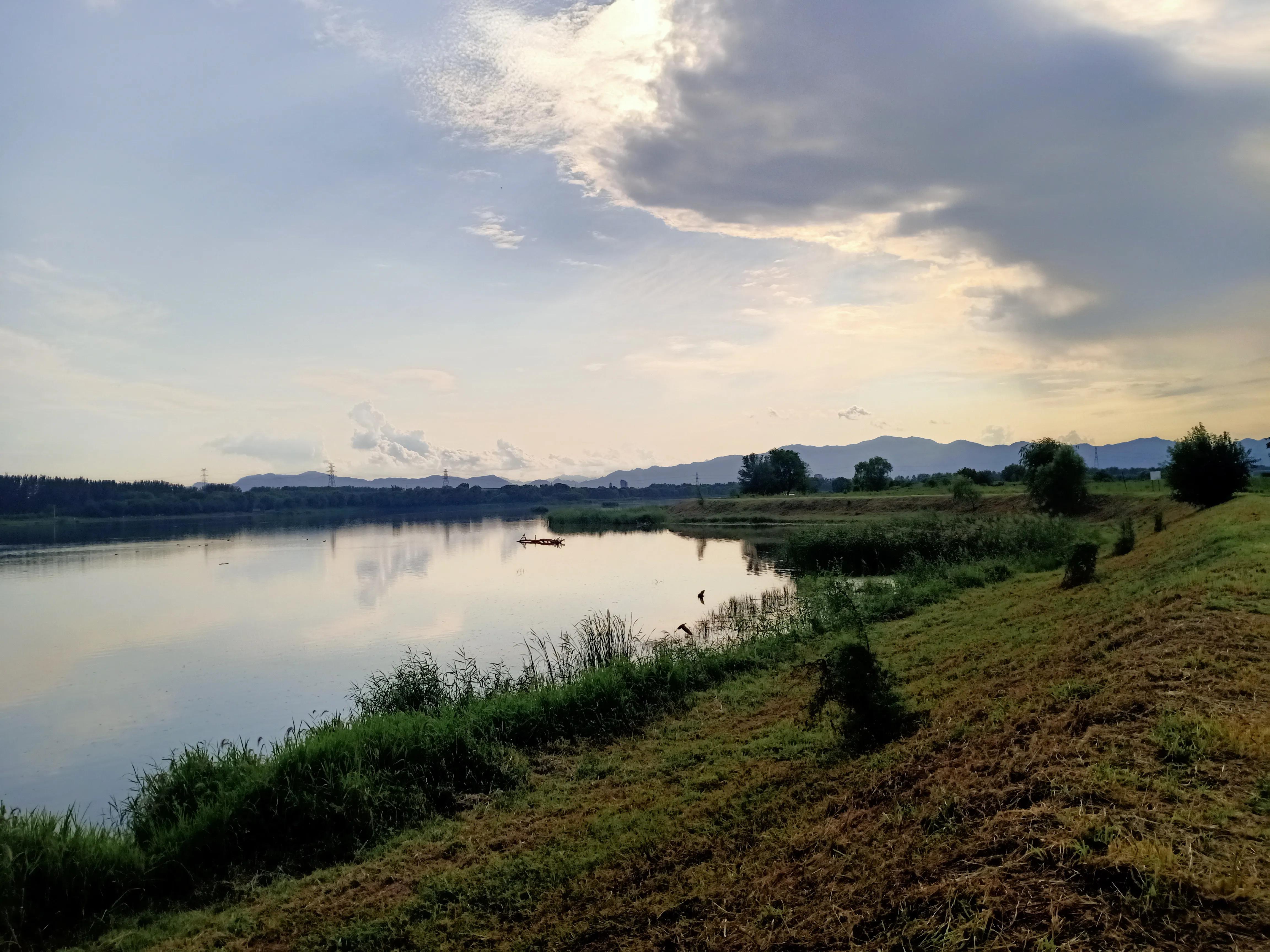 小花鸡丢了电视剧,小母鸡不见了